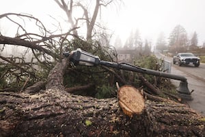 Strong Winds Cause Widespread Power Outages in Western Washington