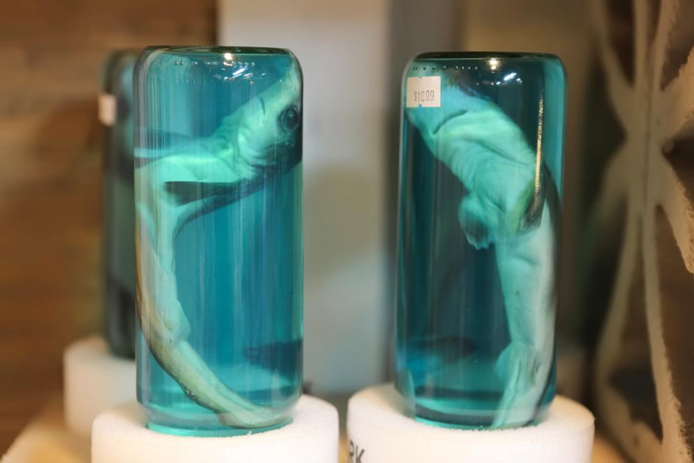 EPA Under Trump Administration Proposes Higher Formaldehyde Exposure Limits