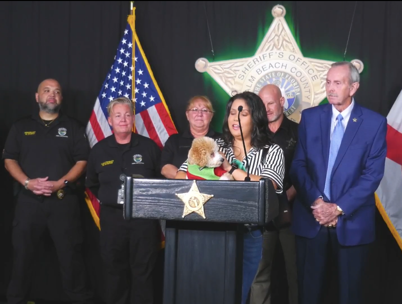 Palm Beach County Launches Animal Crimes Unit Following Poodle Abuse Case