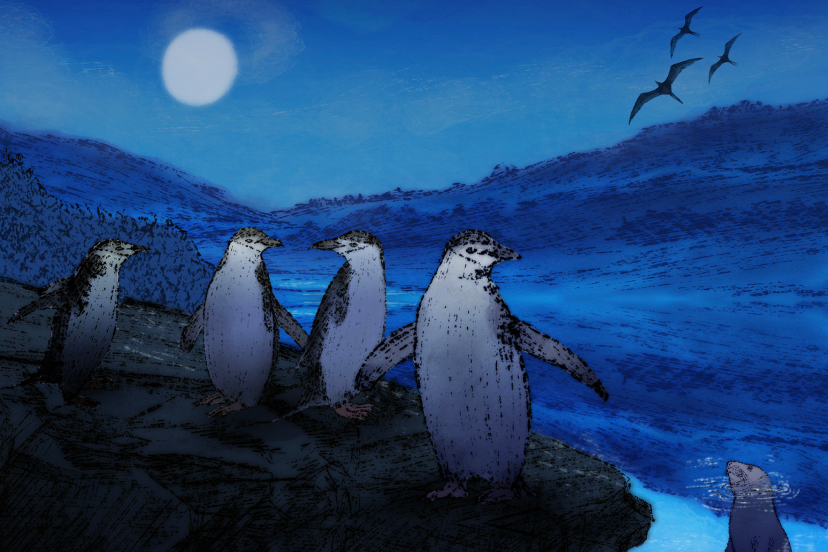 Wild Animals' Remarkable Sleep Adaptations in Extreme Environments