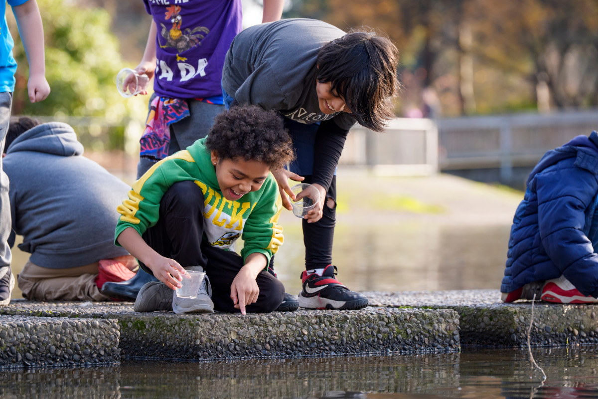Eugene Students Release Salmon Fry in Annual Educational Tradition