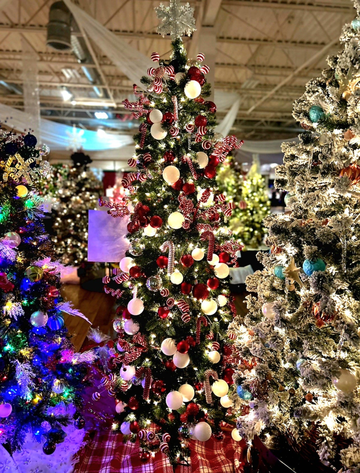 2025 Festival of Trees Achieves Record Fundraising for Hospice Support