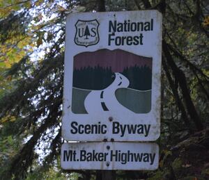 Mount Baker Highway to Reopen with Limited Access After Storm Damage