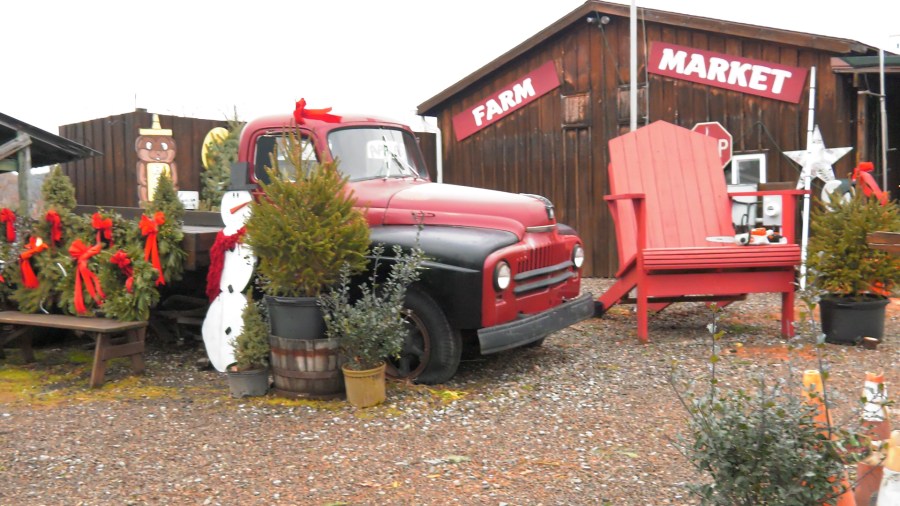 Local Business Partners with Arctic League for Holiday Charity Drive