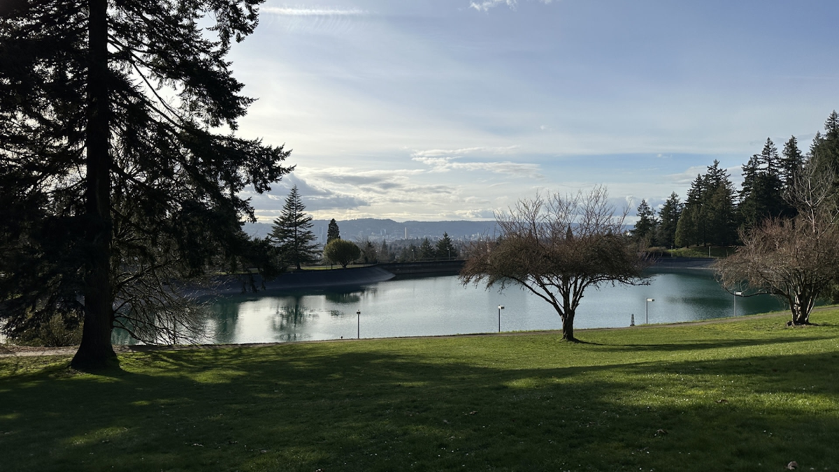 Community Action Against Invasive Plants in Portland Parks