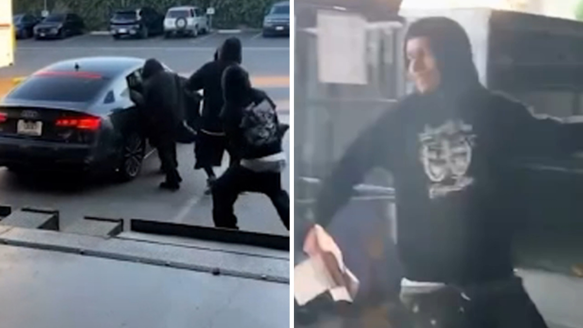 Mail Theft Surges During Peak Postal Season