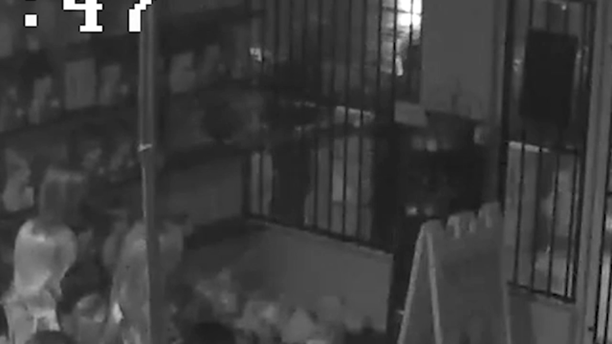 Wig Shop Targeted in Multiple Thefts, Losses Exceed $27,000