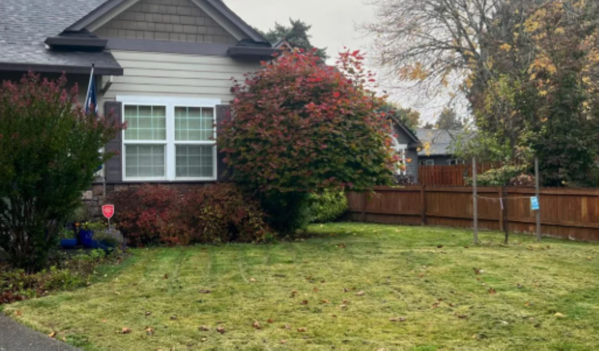 Oregon Homeowner Transforms Lawn into Native Plant Sanctuary