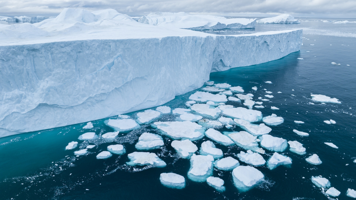 Arctic Ice Loss Weakens Ocean's Carbon Capture System
