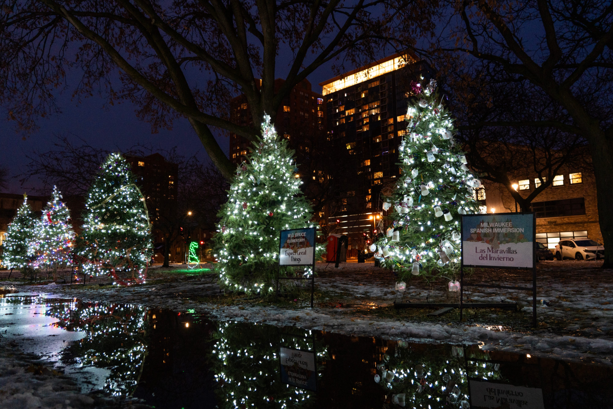Wisconsin's Christmas Weather Outlook: Snow Chances Vary by Region