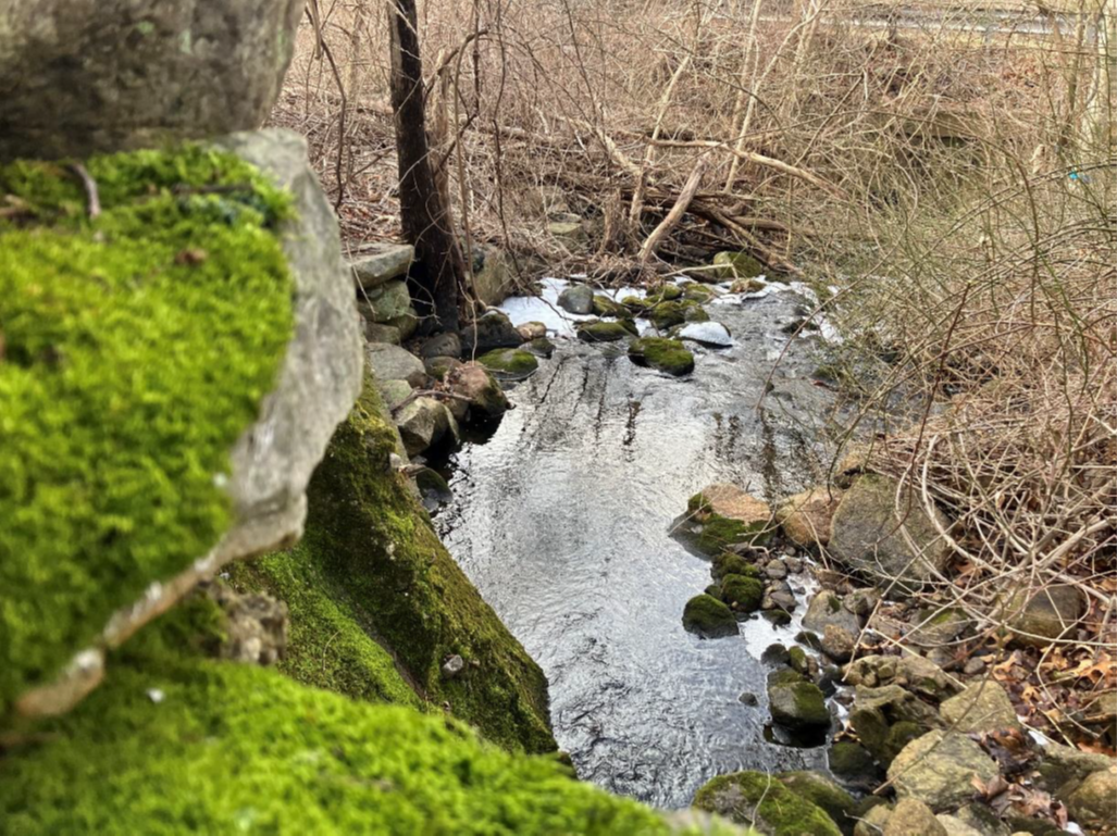 Weekly Roundup: New Bedford Developments and Local Highlights