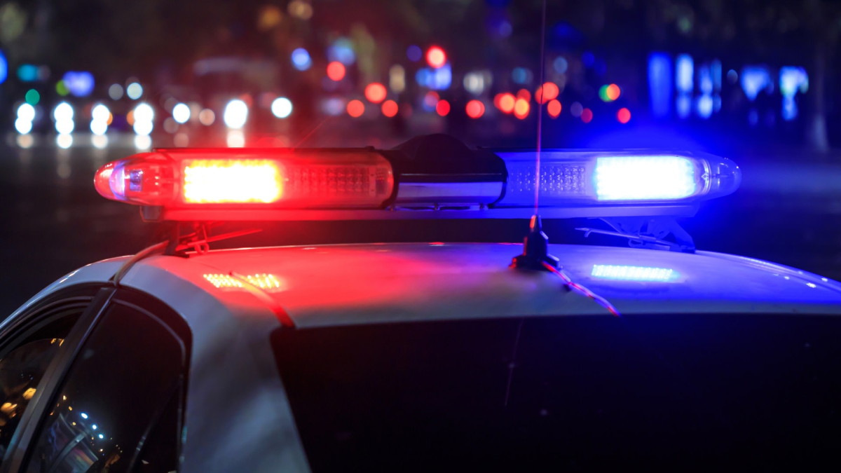 California's Wildlife Trafficking Crisis: A Growing Threat to Ecosystems and Public Health