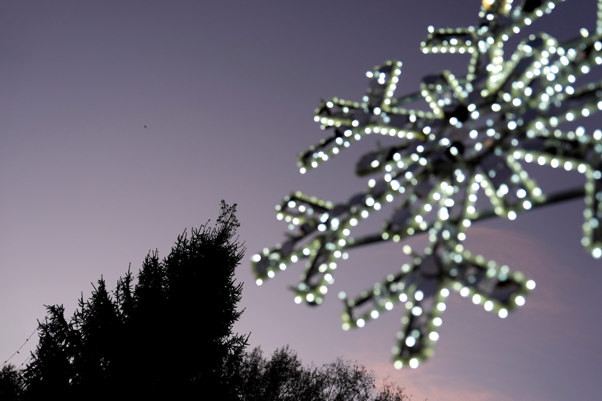 Unseasonably Warm Christmas Forecast for Augusta Region