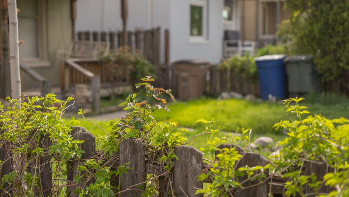 California Resident Reports Neighbor's Unsanitary Waste Disposal, Prompting Health Concerns