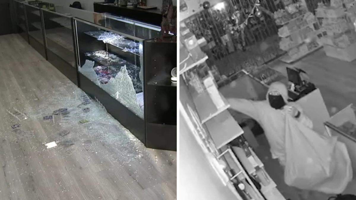 Southern California Collectibles Shops Targeted in Overnight Burglary Spree