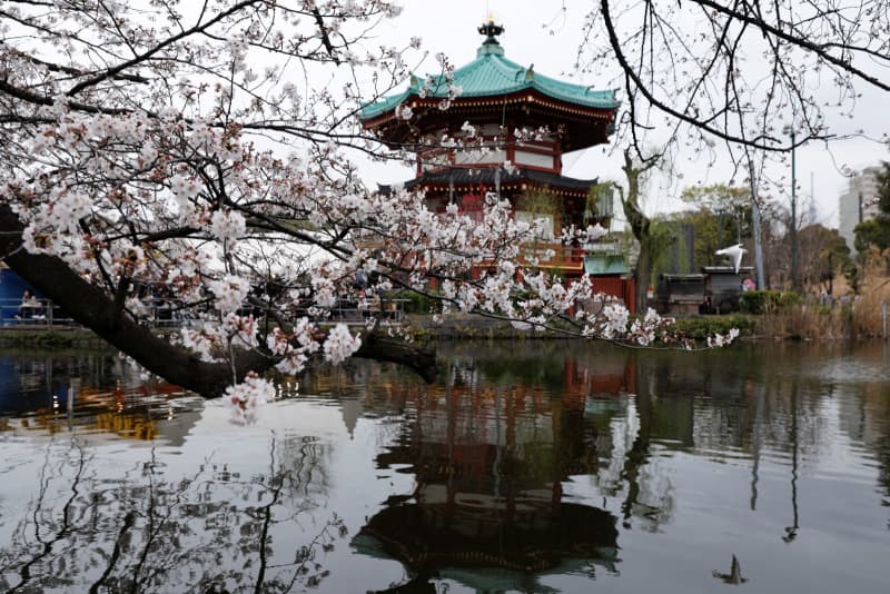 Israeli Travel to Japan Surges Amid Favorable Exchange Rates and Tourism Initiatives