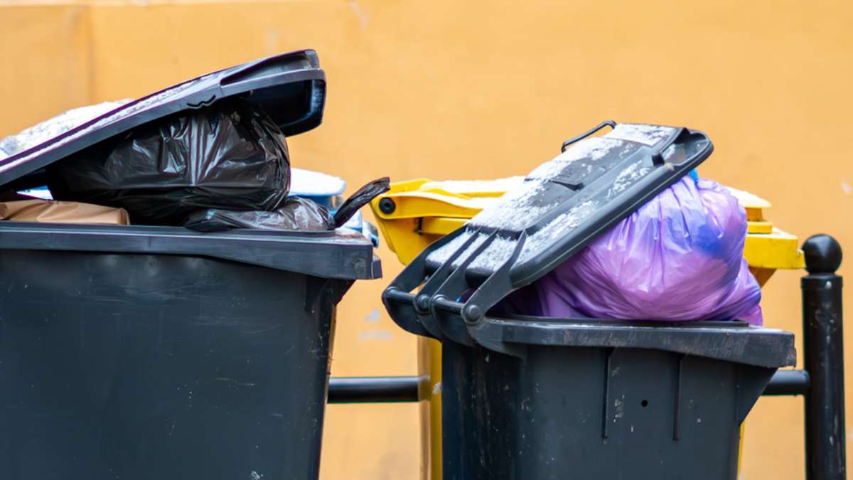Reddit User Discovers Valuable Items in Walgreens Dumpster, Sparking Waste Discussion