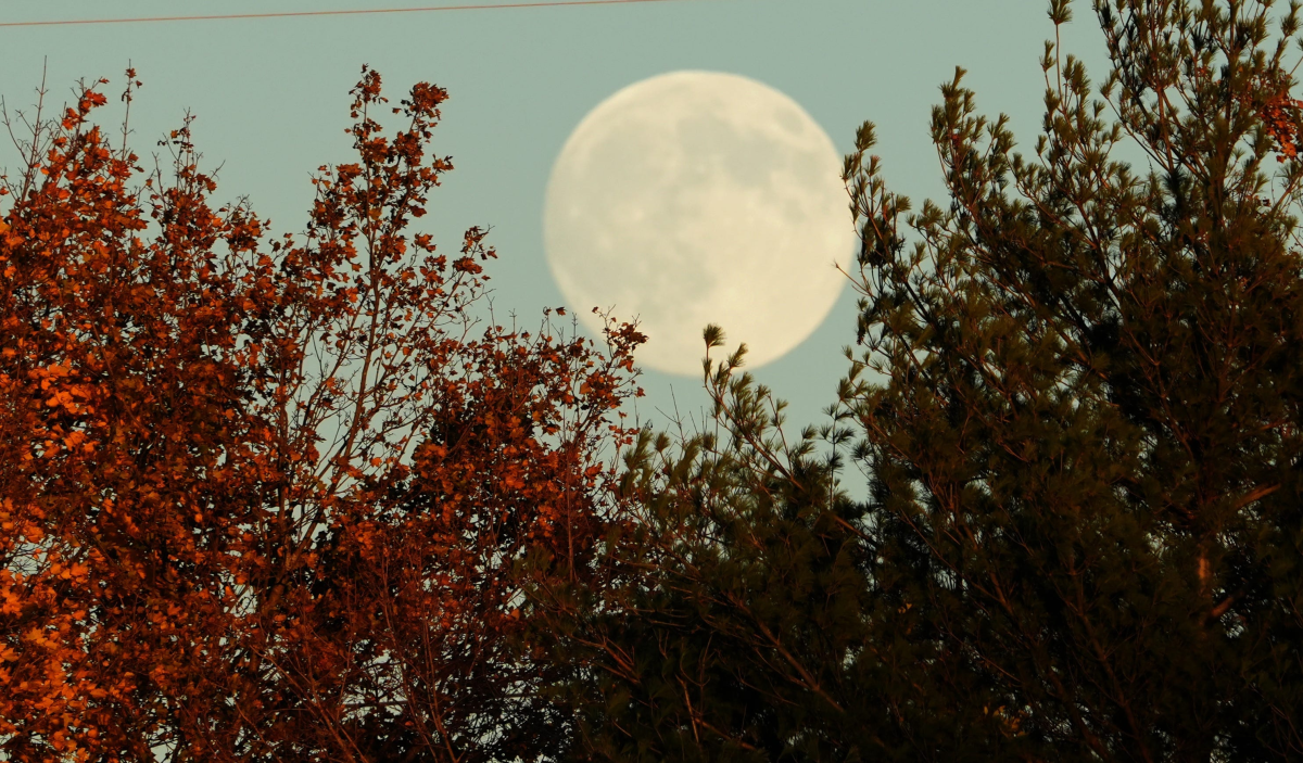 Louisville's 2026 Celestial Calendar: A Year of Full Moon Spectacles