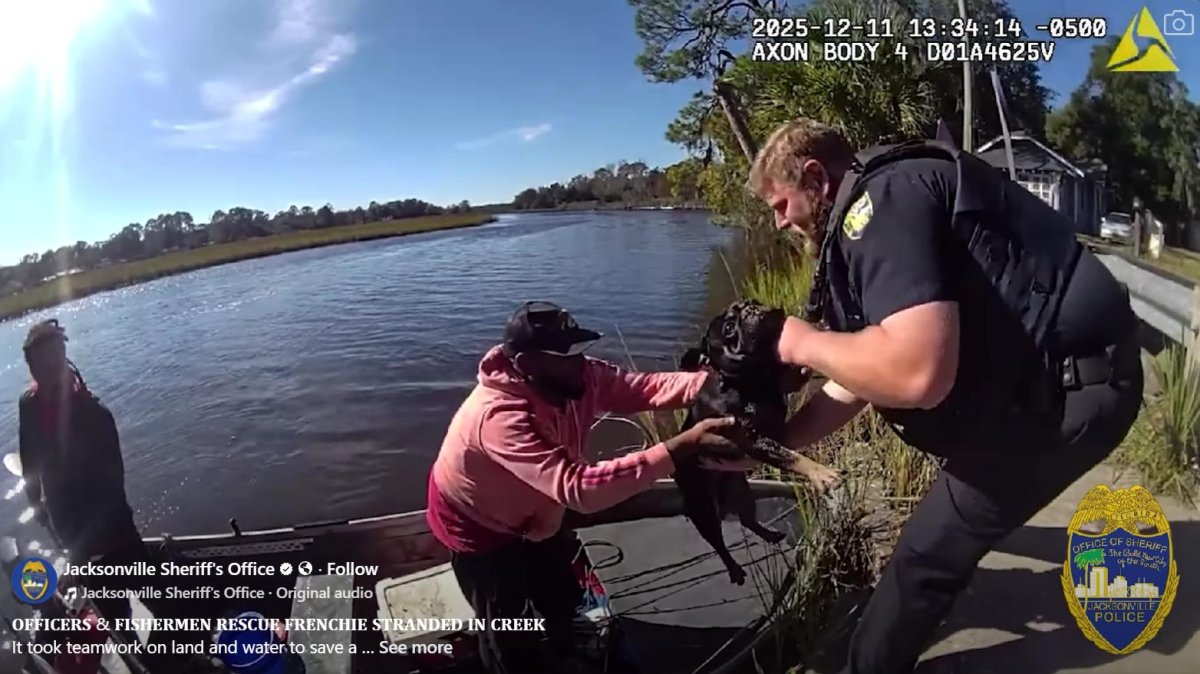 Florida Fishermen Aid Deputies in French Bulldog River Rescue